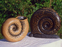Shells